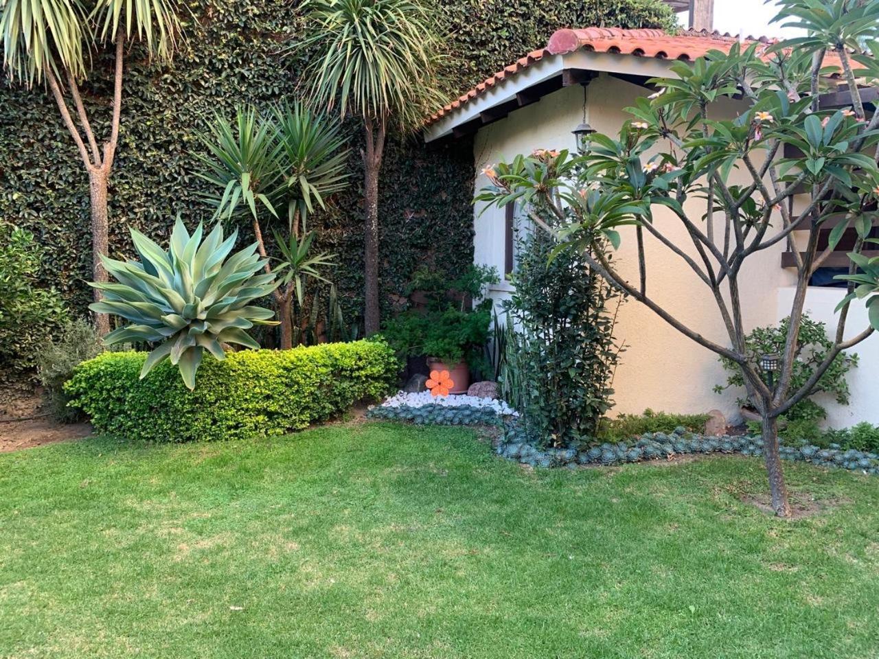 Apartamento Con Jardin コチャバンバ エクステリア 写真