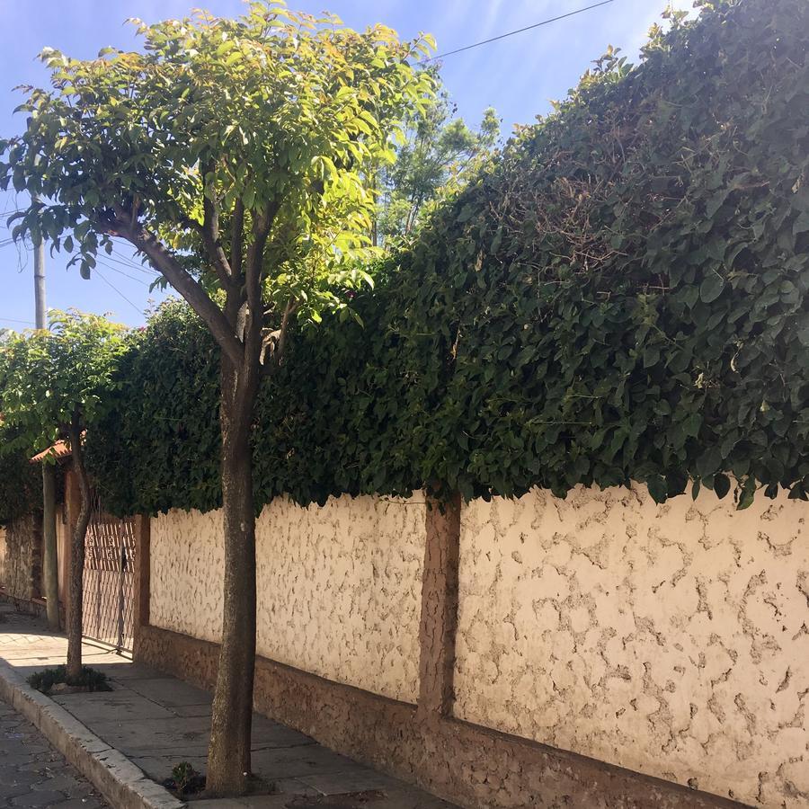 Apartamento Con Jardin コチャバンバ エクステリア 写真